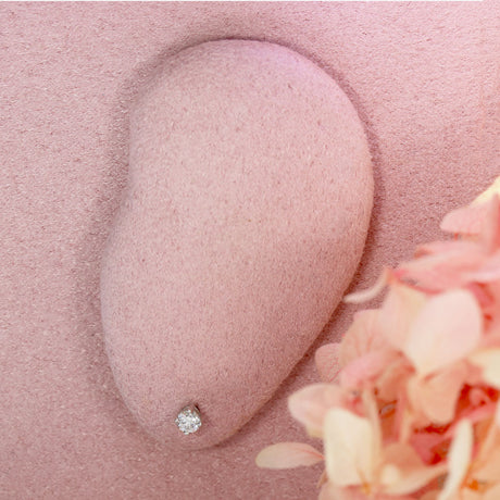 9ct White Gold 4 Claw Set Round Brilliant Cut Lab Grown Diamond Stud Earrings 0.22ct