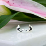 Silver Dolphin Stud Earrings